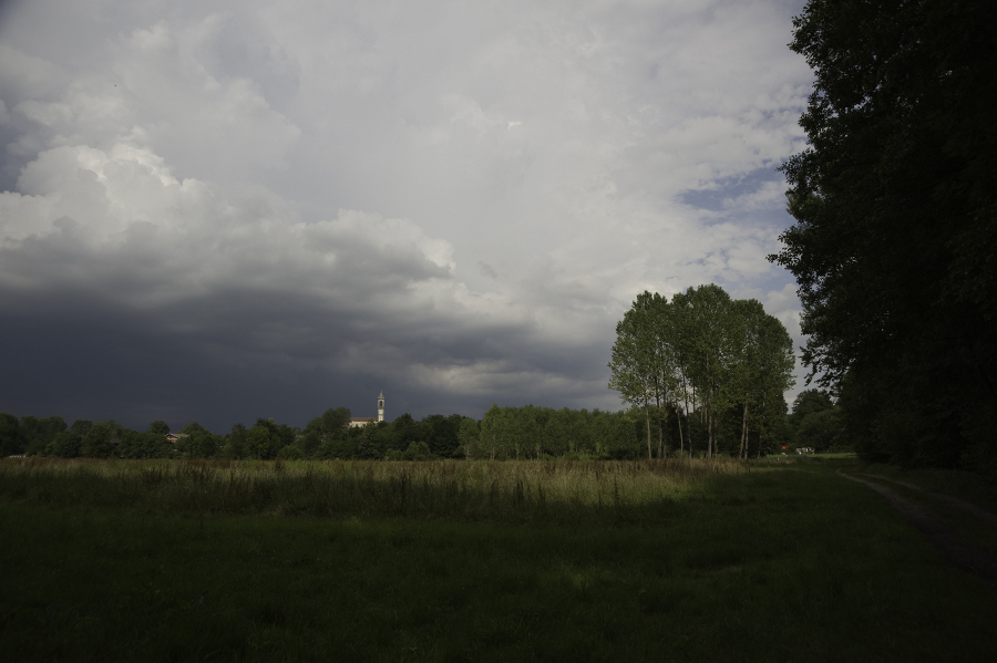 Paesaggio dell'Oasi della Palude Brabbia di Inarzo