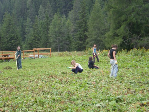 Volontari al lavoro