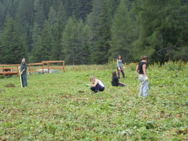 Volontari al lavoro