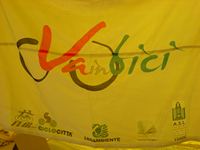 Il logo del progetto "VaINbici"
